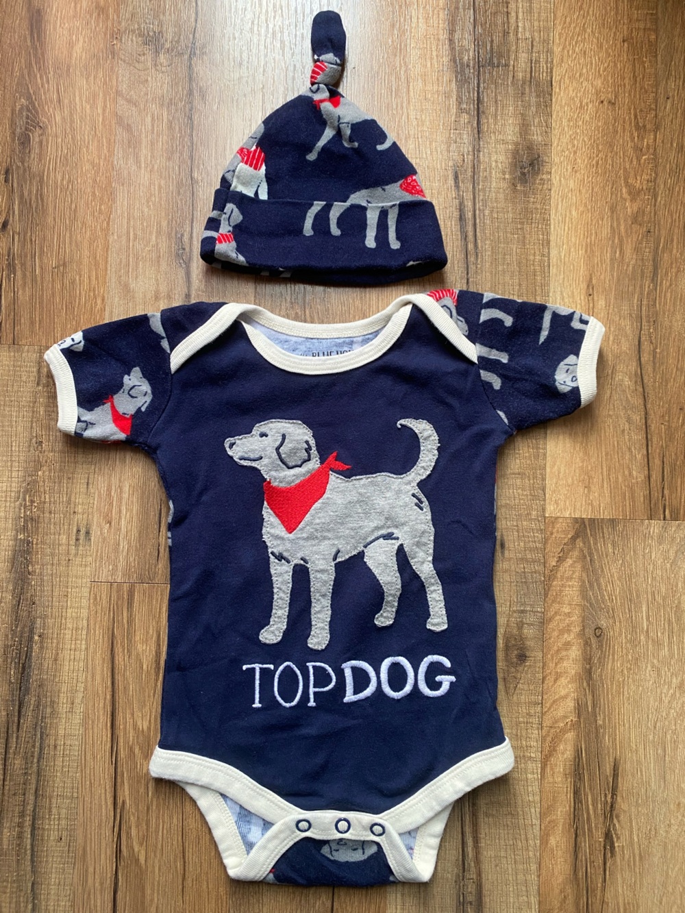 Top Dog Bodysuit and Hat